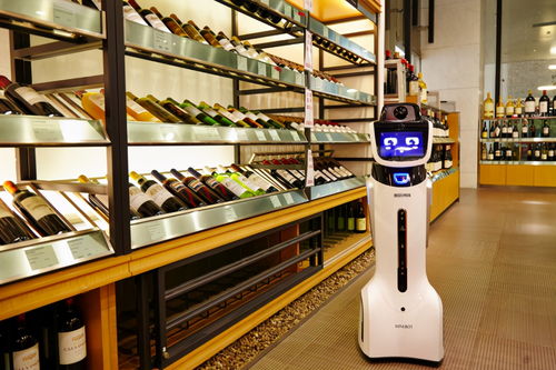 教育服務(wù)機(jī)器人 為人類提供更優(yōu)質(zhì)教育的現(xiàn)實(shí)挑戰(zhàn)與機(jī)遇